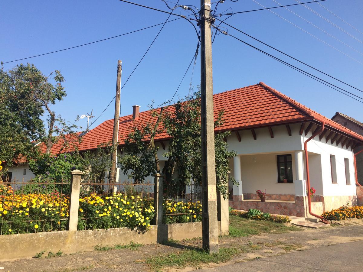 Bajusz Vendeghaz Hotel Tornyosnemeti Exterior photo