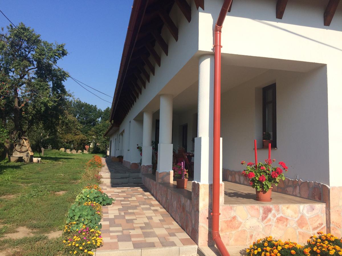 Bajusz Vendeghaz Hotel Tornyosnemeti Exterior photo