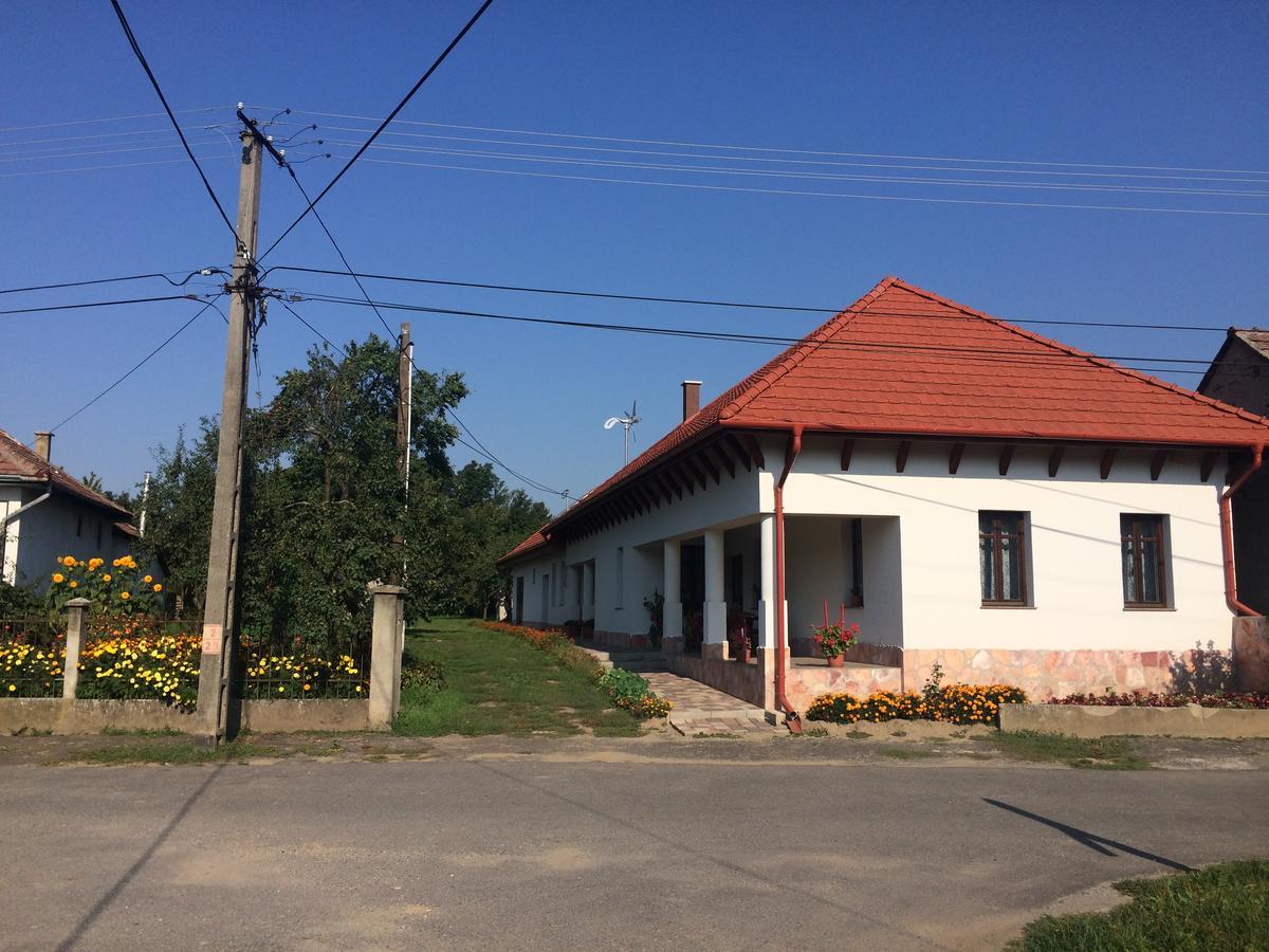 Bajusz Vendeghaz Hotel Tornyosnemeti Exterior photo