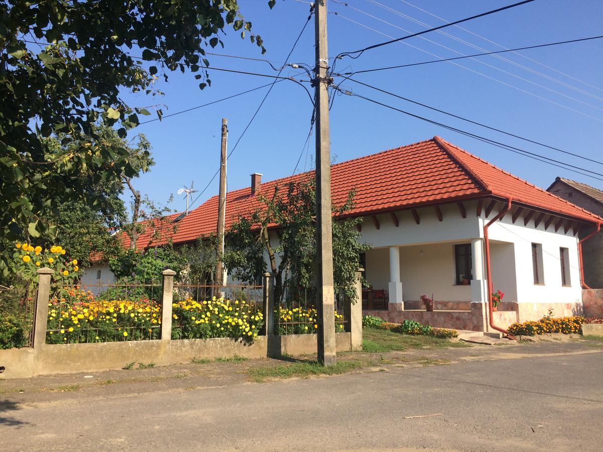 Bajusz Vendeghaz Hotel Tornyosnemeti Exterior photo