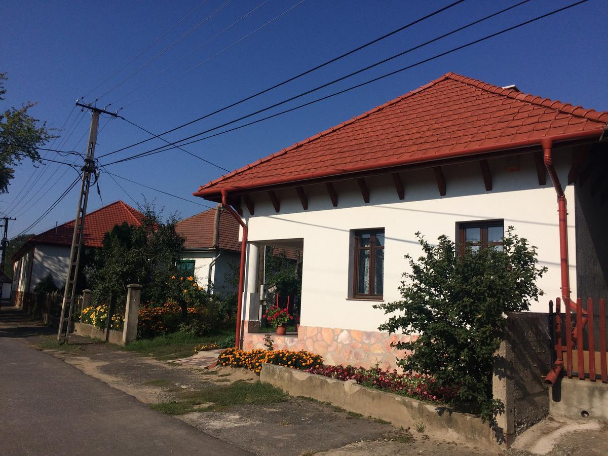 Bajusz Vendeghaz Hotel Tornyosnemeti Exterior photo